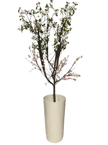 kirsipuu, roosa.png (249 KB)